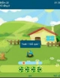PetCity