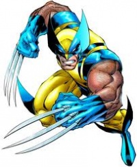 Wolverines