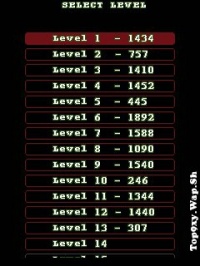 Worlds-Hardest-Maze 1