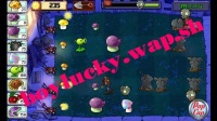 Boylucky.wap.sh1 31