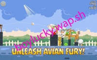 Boylucky.wap.sh2 5