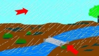 Images 1