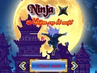 Ninja-nhimvbmt
