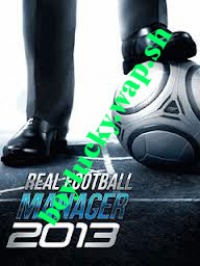 Real-football-manager-2013
